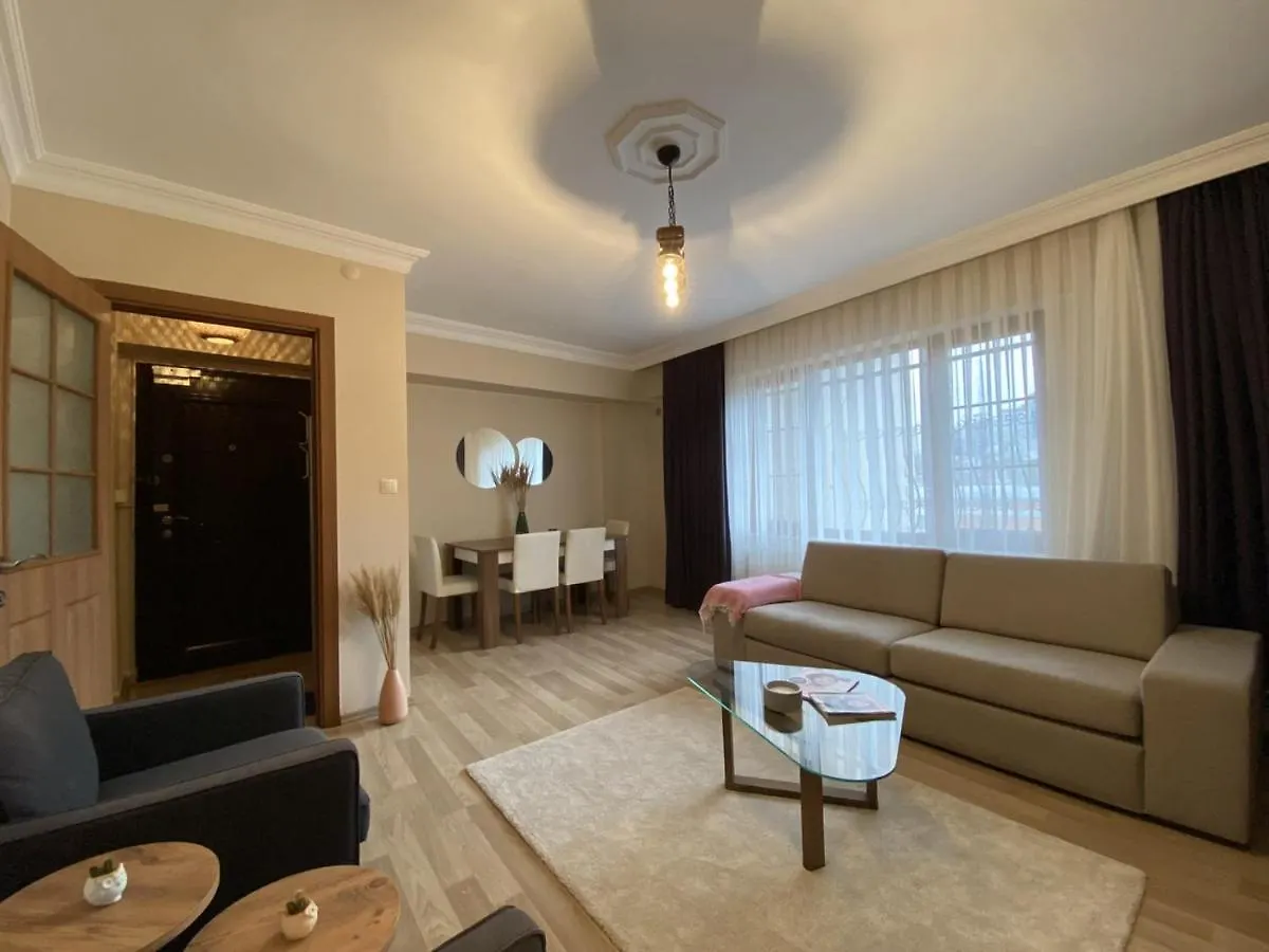 Distinguished Flat Near Pera Museum In Beyoglu Apartment Istanbul