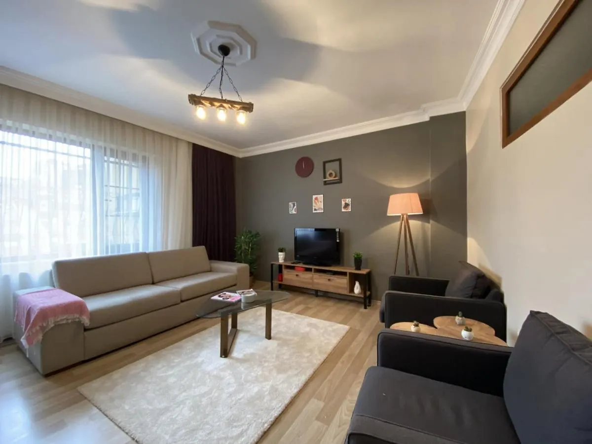 Distinguished Flat Near Pera Museum In Beyoglu Apartment Istanbul 0*,