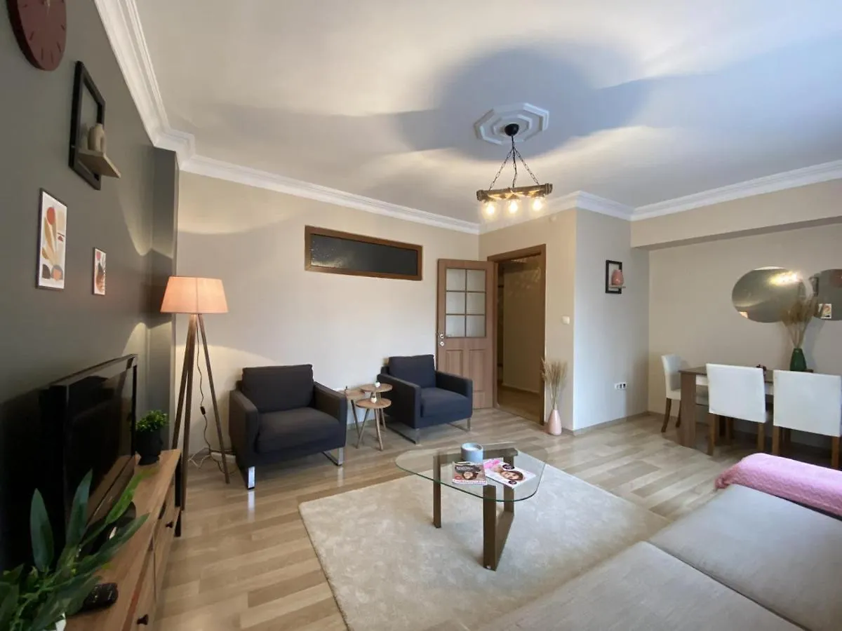 Distinguished Flat Near Pera Museum In Beyoglu Apartment Istanbul